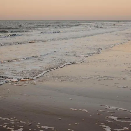 In Near And Casino Apartment Knokke-Heist