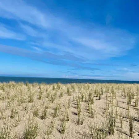 Apartment In Near And Casino *