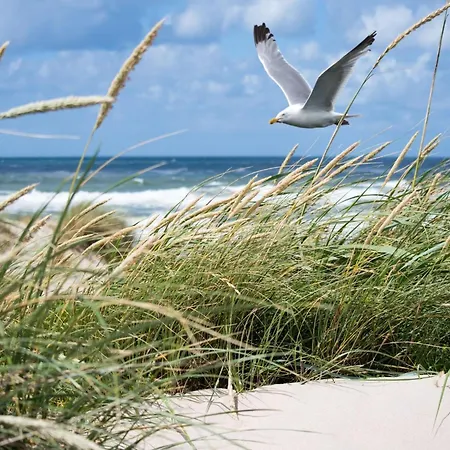 Apartment In Near And Casino